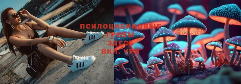 Псилоцибиновые грибы Magic Shrooms  Короча 